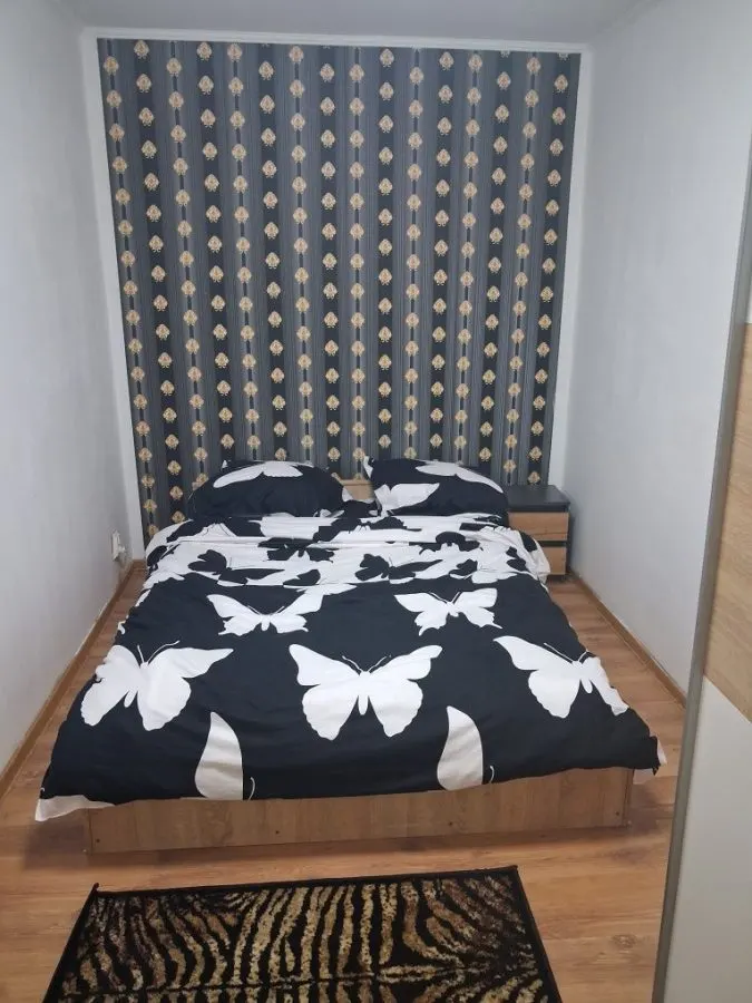 Apartament 2 camere Satu Mare - poza 1