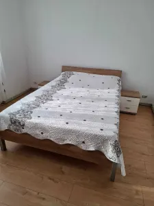 Apartament 3 camere Satu Mare - poza 2