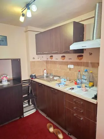 Garsonieră Satu Mare - poza 3