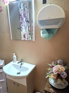 Garsonieră Satu Mare - poza 6