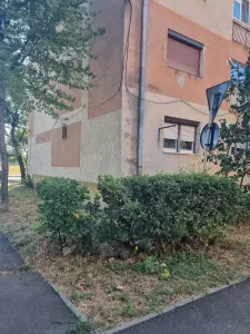 Apartament 3 camere Satu Mare - poza 10