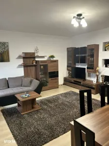 Apartament 3 camere Satu Mare - poza 3