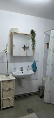Apartament 3 camere Oradea - poza 8