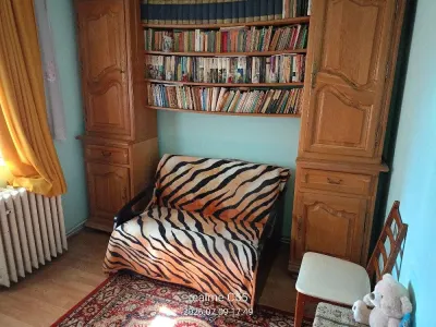 Apartament 3 camere Satu Mare - poza 2