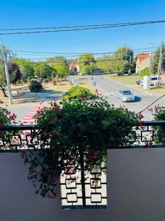 Casă 4 camere Satu Mare - poza 3