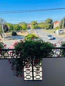 Casă 4 camere Satu Mare - poza 3