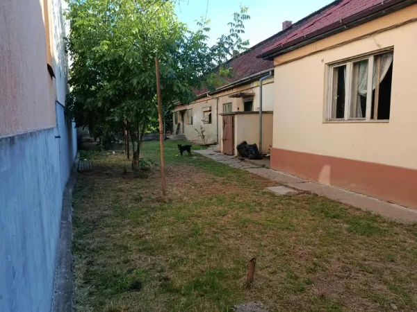 Casă 4 camere Satu Mare - poza 4