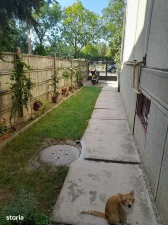 Casă 4 camere Satu Mare - poza 20