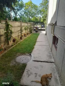 Casă 4 camere Satu Mare - poza 20