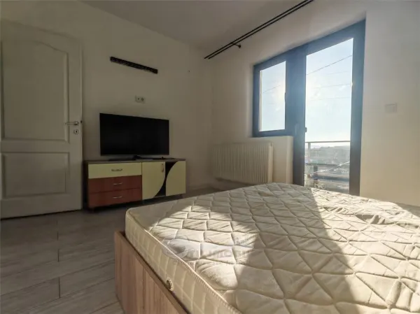 Apartament 1 camera Lunca Cetățuii - poza 2