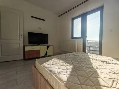 Apartament 1 camera Lunca Cetățuii - poza 2