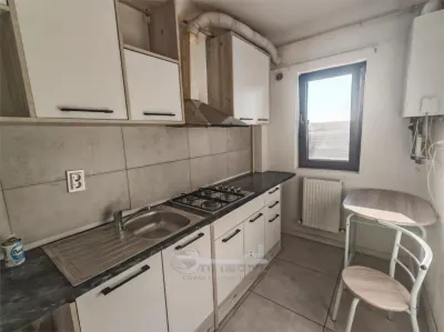 Apartament 1 camera Lunca Cetățuii - poza 7