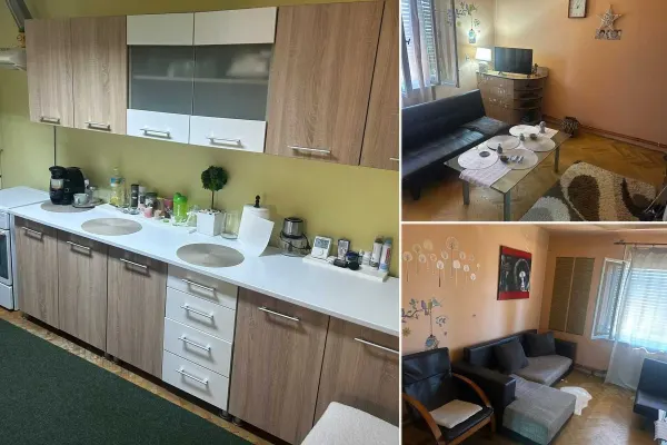 Casă 4 camere Satu Mare - poza 2