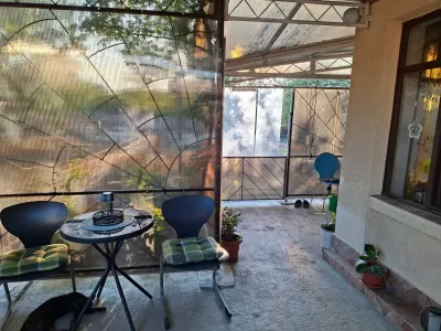 Casă 3 camere Viile Satu Mare - poza 3