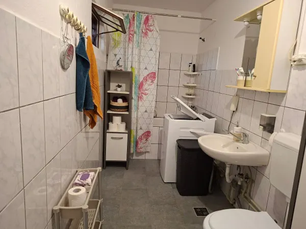 Casă 3 camere Viile Satu Mare - poza 7