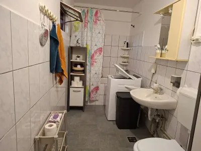 Casă 3 camere Viile Satu Mare - poza 7