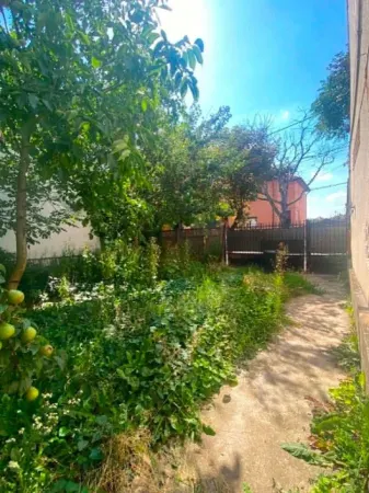 Casă 3 camere Satu Mare - poza 5