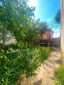 Casă 3 camere Satu Mare - poza 5