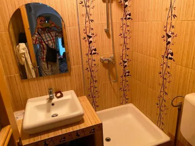 Apartament 4 camere Satu Mare - poza 8