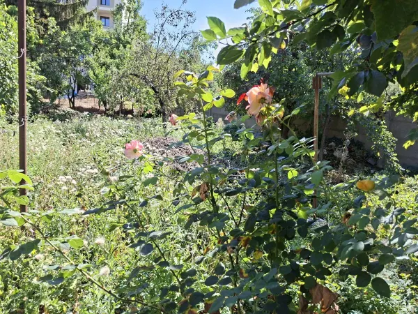 Casă 3 camere Satu Mare - poza 14