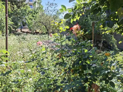 Casă 3 camere Satu Mare - poza 14