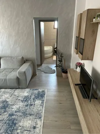 Apartament 2 camere Satu Mare - poza 2