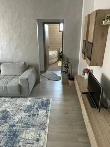 Apartament 2 camere Satu Mare - poza 2