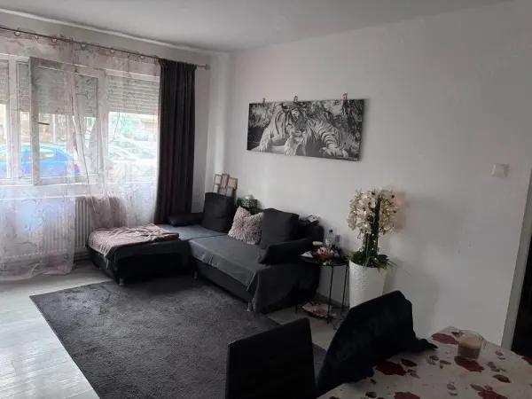 Apartament 2 camere Satu Mare - poza 1