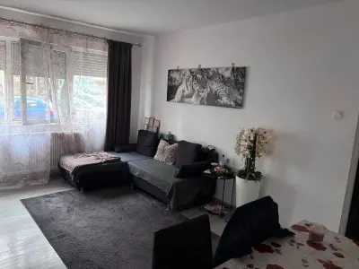 BRASADAS vinde ap 2 cam PARTER Micro 15 40mp. - Satu Mare