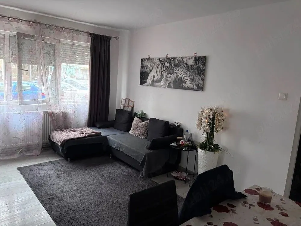 Apartament 2 camere Satu Mare - poza 1