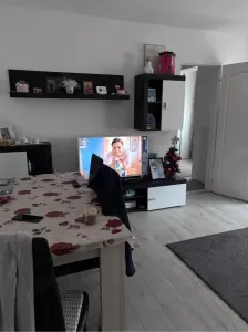 Apartament 2 camere Satu Mare - poza 3
