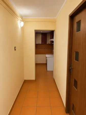 Apartament 3 camere Satu Mare - poza 6