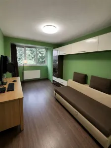 Apartament 3 camere Satu Mare - poza 8