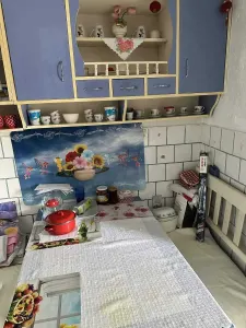 Apartament 3 camere Satu Mare - poza 5