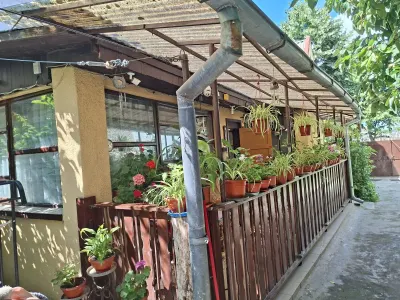 Casă 4 camere Satu Mare - poza 7