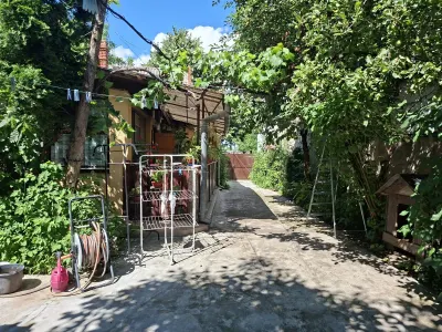 Casă 4 camere Satu Mare - poza 8