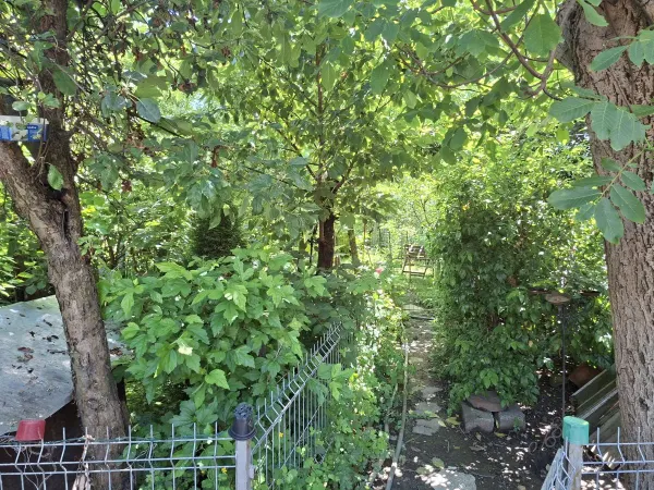 Casă 4 camere Satu Mare - poza 9