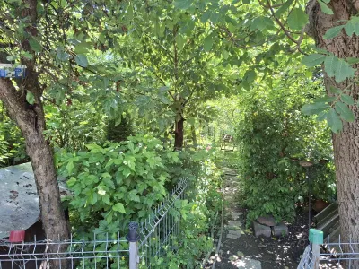 Casă 4 camere Satu Mare - poza 9