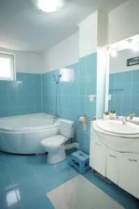 Casă 5 camere Satu Mare - poza 11