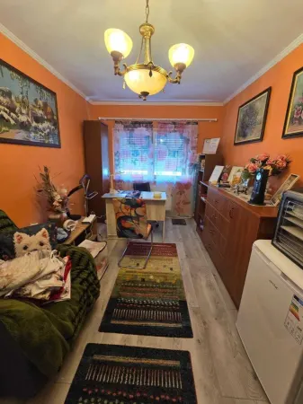 Apartament 4 camere Satu Mare - poza 3