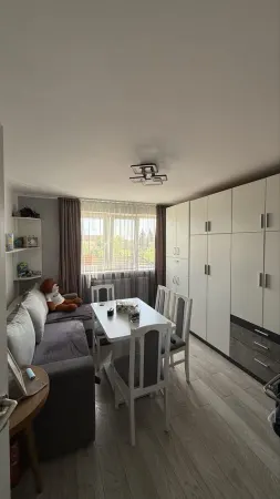 Apartament 2 camere Satu Mare - poza 1