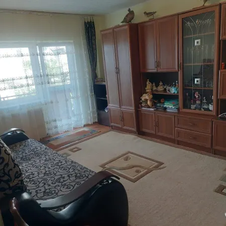 Apartament 2 camere Satu Mare - poza 1