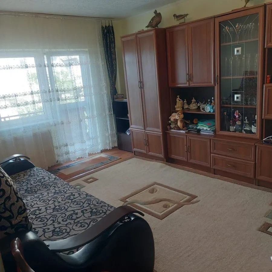 Apartament 2 camere Satu Mare - poza 1