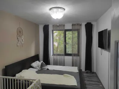 Apartament 2 camere Satu Mare - poza 3
