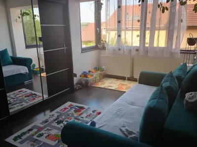 Apartament 2 camere Satu Mare - poza 5