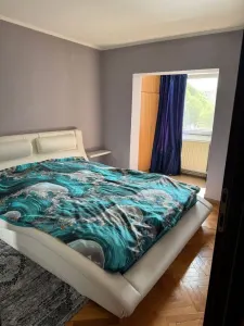 Apartament 3 camere Satu Mare - poza 7