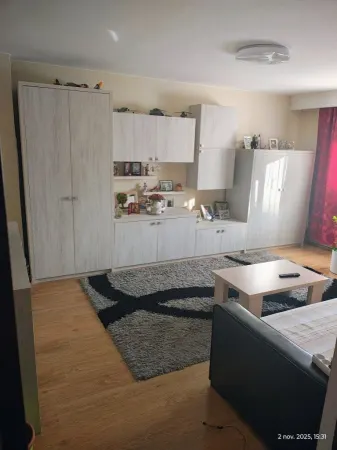 Apartament 3 camere Satu Mare - poza 3