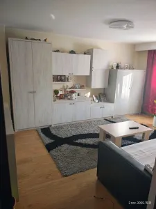 Apartament 3 camere Satu Mare - poza 3