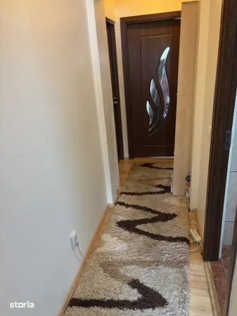 Apartament 3 camere Satu Mare - poza 11