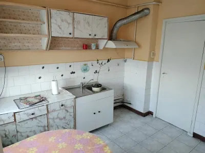 Apartament 3 camere Satu Mare - poza 3